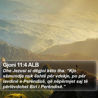 Gjoni 11:4 ALB Bible Verse Image