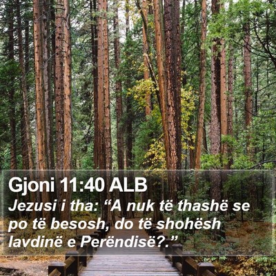 Gjoni 11:40 ALB Bible Verse Image
