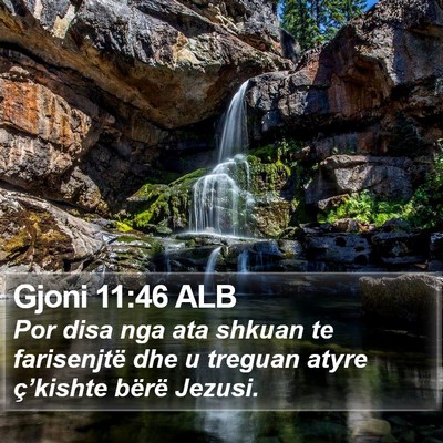Gjoni 11:46 ALB Bible Verse Image