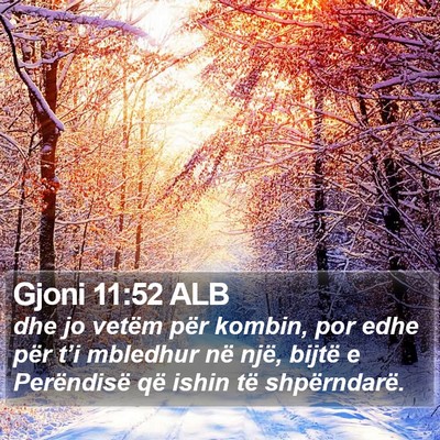 Gjoni 11:52 ALB Bible Verse Image