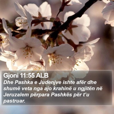 Gjoni 11:55 ALB Bible Verse Image