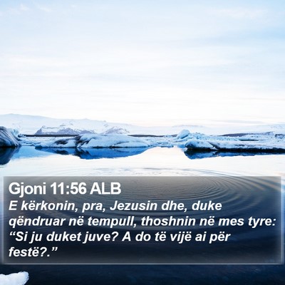 Gjoni 11:56 ALB Bible Verse Image