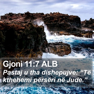 Gjoni 11:7 ALB Bible Verse Image
