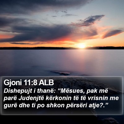 Gjoni 11:8 ALB Bible Verse Image