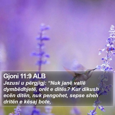 Gjoni 11:9 ALB Bible Verse Image