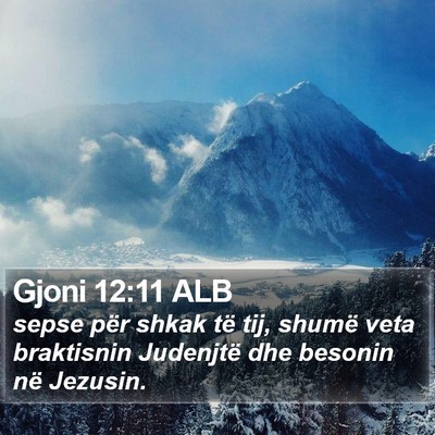 Gjoni 12:11 ALB Bible Verse Image