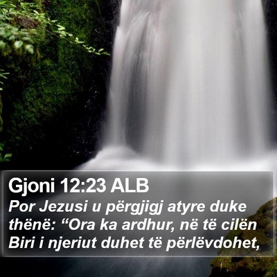 Gjoni 12:23 ALB Bible Verse Image