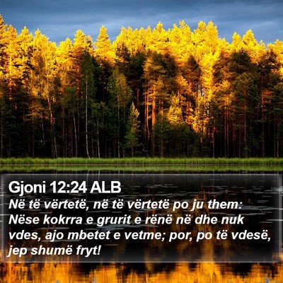 Gjoni 12:24 ALB Bible Verse Image