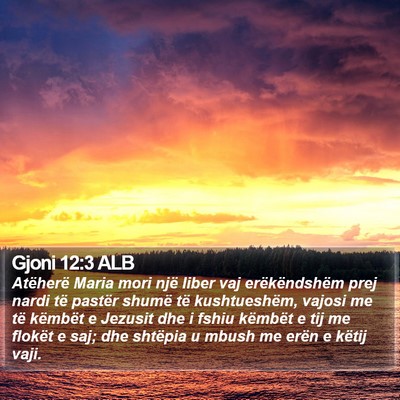 Gjoni 12:3 ALB Bible Verse Image