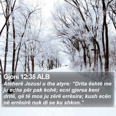 Gjoni 12:35 ALB Bible Verse Image
