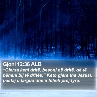 Gjoni 12:36 ALB Bible Verse Image