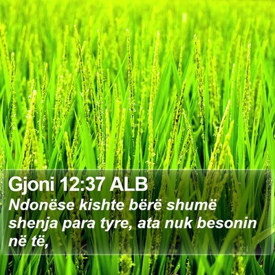 Gjoni 12:37 ALB Bible Verse Image