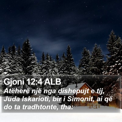 Gjoni 12:4 ALB Bible Verse Image