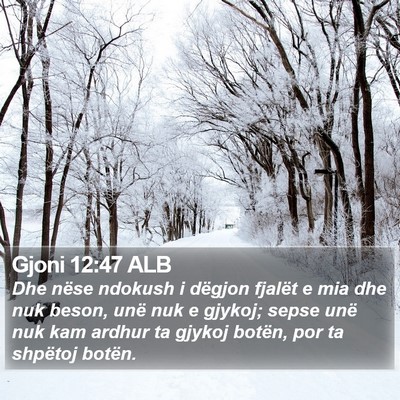 Gjoni 12:47 ALB Bible Verse Image