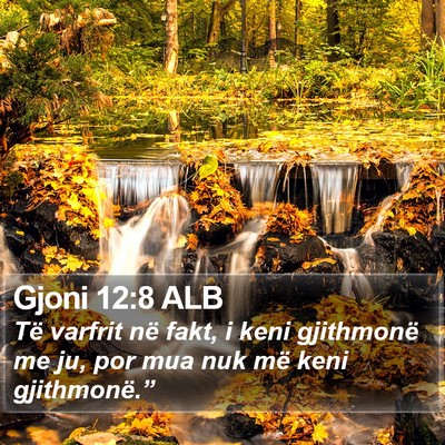 Gjoni 12:8 ALB Bible Verse Image