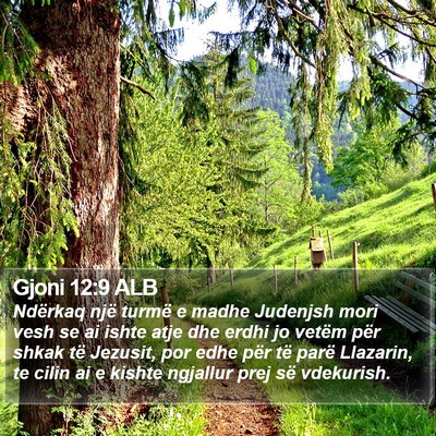 Gjoni 12:9 ALB Bible Verse Image