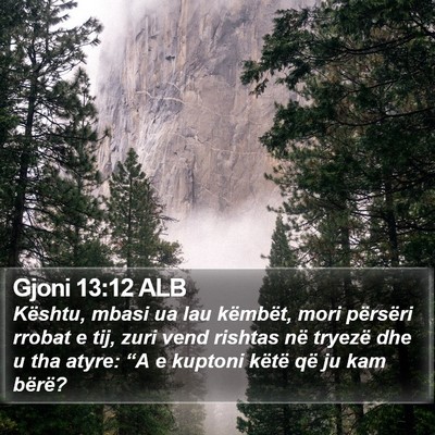 Gjoni 13:12 ALB Bible Verse Image