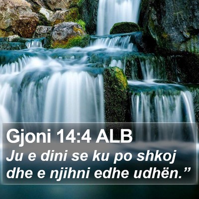 Gjoni 14:4 ALB Bible Verse Image