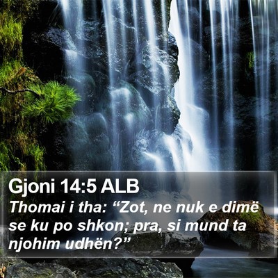 Gjoni 14:5 ALB Bible Verse Image