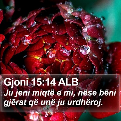 Gjoni 15:14 ALB Bible Verse Image