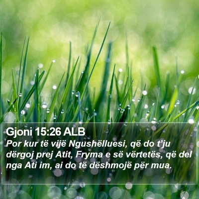 Gjoni 15:26 ALB Bible Verse Image