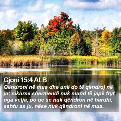 Gjoni 15:4 ALB Bible Verse Image