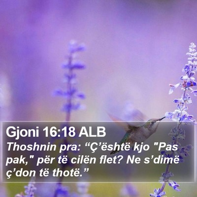 Gjoni 16:18 ALB Bible Verse Image