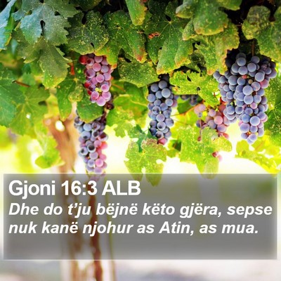 Gjoni 16:3 ALB Bible Verse Image