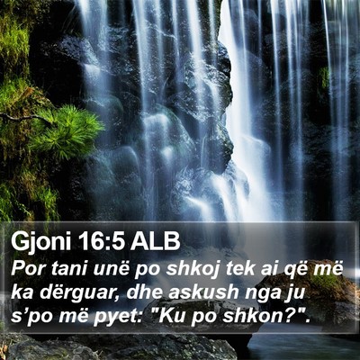Gjoni 16:5 ALB Bible Verse Image