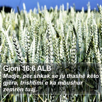 Gjoni 16:6 ALB Bible Verse Image