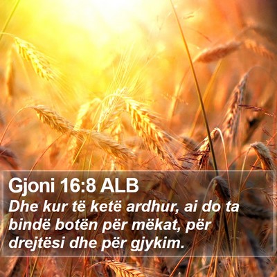 Gjoni 16:8 ALB Bible Verse Image