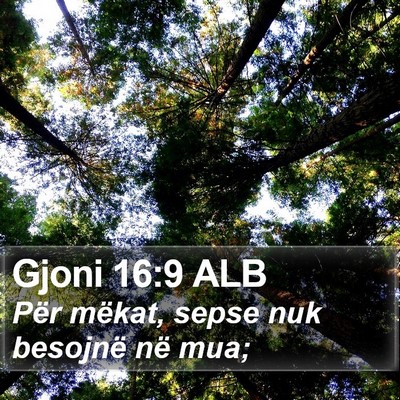 Gjoni 16:9 ALB Bible Verse Image