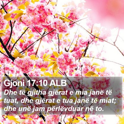 Gjoni 17:10 ALB Bible Verse Image