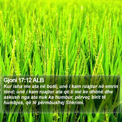 Gjoni 17:12 ALB Bible Verse Image