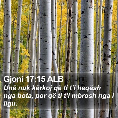 Gjoni 17:15 ALB Bible Verse Image
