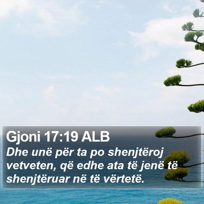 Gjoni 17:19 ALB Bible Verse Image