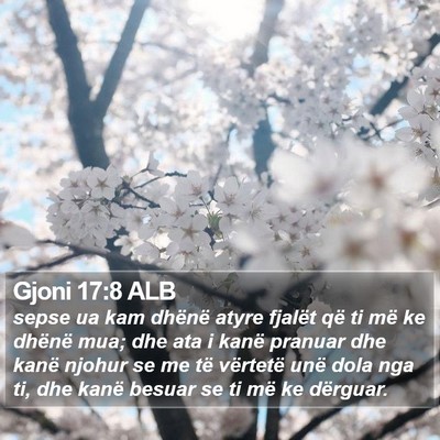 Gjoni 17:8 ALB Bible Verse Image