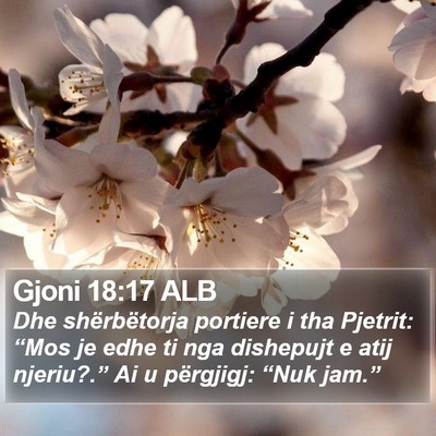Gjoni 18:17 ALB Bible Verse Image