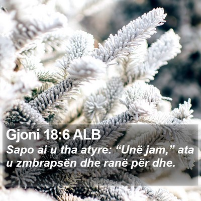 Gjoni 18:6 ALB Bible Verse Image