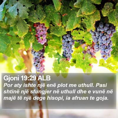 Gjoni 19:29 ALB Bible Verse Image