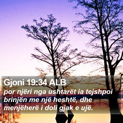 Gjoni 19:34 ALB Bible Verse Image
