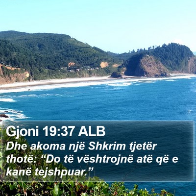 Gjoni 19:37 ALB Bible Verse Image