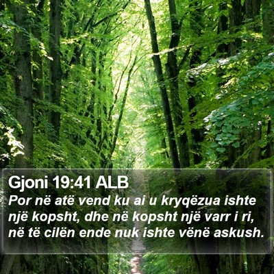 Gjoni 19:41 ALB Bible Verse Image