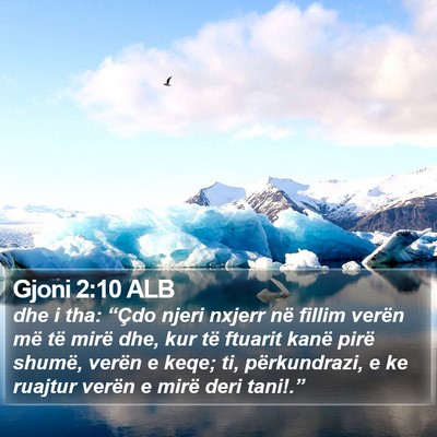 Gjoni 2:10 ALB Bible Verse Image