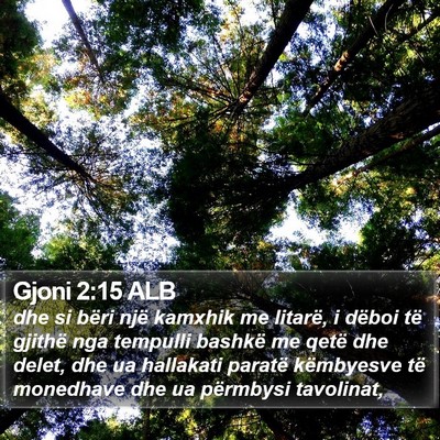 Gjoni 2:15 ALB Bible Verse Image