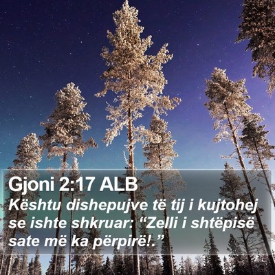 Gjoni 2:17 ALB Bible Verse Image