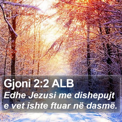 Gjoni 2:2 ALB Bible Verse Image