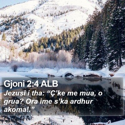 Gjoni 2:4 ALB Bible Verse Image
