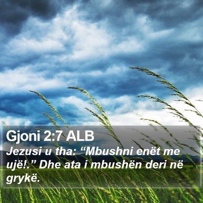 Gjoni 2:7 ALB Bible Verse Image