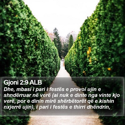Gjoni 2:9 ALB Bible Verse Image